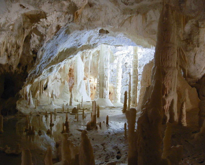 media.Slide-Escursioni-07-Hotel-Alba-Serena-Misano